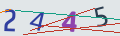 verifycode